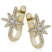 Earring in 14k Gold with Diamonds